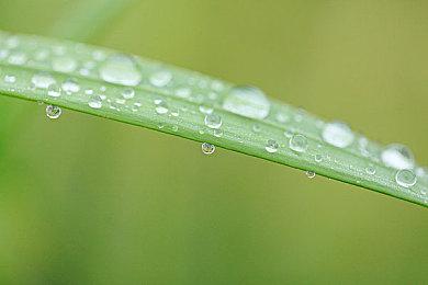 《女神异闻录345》捆绑包上架各平台 打包买更划算